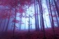 Mystic forest with red leaves and bluish atmosphere