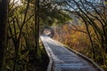 Mystic journey ahead, a quiet lane on a beautiful forest with stream. Beautiful wooden path trail for nature trekking