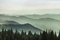 Mystic landscape of misty mountain hills. Morning misty coniferous forest hills in fog and rays of sunlight.