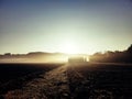 Mystic picturesque autumn morning scenery with fog patches over field at sunrise