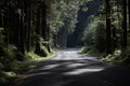 Mystic road through dense ancient forest with lichen Royalty Free Stock Photo