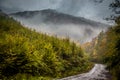 Mystic road in the mountains Royalty Free Stock Photo