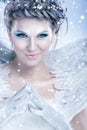 Mystic snow queen Royalty Free Stock Photo