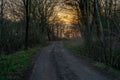 mystic sunset behind leafless trees and an unfixed path Royalty Free Stock Photo