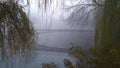 Mystic surrounding. A bridge in the park. Covered with fog and beauty