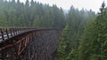 Mystic view of restored historic railroad bridge Kinsol Trestle on Vancouver Island, British Columbia, Canada. Royalty Free Stock Photo