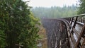 Mystic view of restored wooden railroad bridge Kinsol Trestle, spanning Koksilah River, on Vancouver Island, Canada. Royalty Free Stock Photo