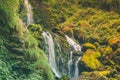 A mystic waterfall and vegetation Royalty Free Stock Photo