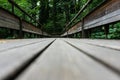 Mystic wood path in forest