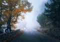 Mystical autumn foggy forest with road. Fall misty woods Royalty Free Stock Photo