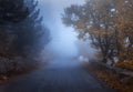 Mystical autumn forest with road in fog Royalty Free Stock Photo