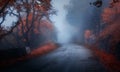 Mystical autumn forest with road in fog