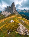 Mystical Canopy, Fog-Kissed Mountain and Flowers Landscape Royalty Free Stock Photo