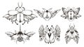 Mystical celestial beetle or bug outline clipart bundle, magic black and white insects silhouettes in vector, unreal