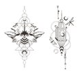 Mystical celestial beetle, moth and dragonfly and lantern clipart in black color, magic space insect and crescent moon