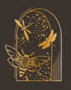 Mystical celestial composition with night window, moth and dragonfly, vector clipart in gold foil texture on dark