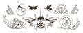 Mystical celestial moth, beetle, dragonfly and snail clip art bundle, magic black and white insects line silhouettes in