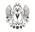 Mystical celestial scarab beetle and moon phases clipart in black color, magic space insect and crescent silhouettes in