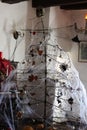 Mystical Christmas tree Halloween Count Dracula story old vampire Romania Transylvania houses Cit