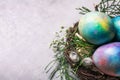 Mystical coloring Easter eggs with twigs and spring flowers