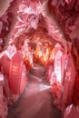 Mystical Crystal Cave Pathway in Vivid Pink Tones Fantastical Geology, Mineral Beauty, Underground Scenery for Fantasy or Geology