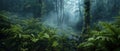 mystical damp forest with lichens, moss, ferns and thick fog, nature backgrounds