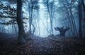 Mystical dark autumn forest with trail in blue fog