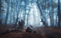 Mystical dark autumn forest with trail in blue fog Royalty Free Stock Photo