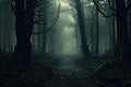 Mystical dark forest with fog. Horror Halloween concept. 3D Rendering, A dark forest with lots of trees covered in fog, AI Royalty Free Stock Photo