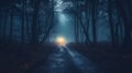 Mystical dark scary forest with fog and footpath. Halloween background. Royalty Free Stock Photo