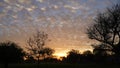 Mystical dark shadow trees aerial view in the evening. Blue light white clouds closeup on the trees Royalty Free Stock Photo