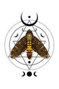 Mystical death head moth in dark brown colors. Cresent moon wiccan triple goddess, butterfly with a skull. Sacred geometry