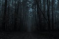 mystical deserted road in fog in the forest at night