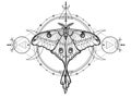 Mystical drawing: tropical butterfly, sacred geometry, moon phases, energy circles. Royalty Free Stock Photo