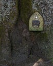 A mystical fairy or elf door set in a tree trunk