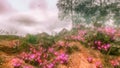 Mystical fantasy background 3D CG