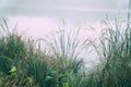 Fog in the early morning on a small lake Royalty Free Stock Photo