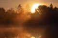 Mystical fog on a forest lake in the rays of the golden rising sun. A dark, realistic image