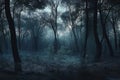 Mystical foggy forest,  Foggy morning in the woods Royalty Free Stock Photo