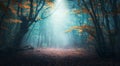 Mystical forest in blue fog in autumn. Colorful landscape Royalty Free Stock Photo
