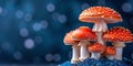 A mystical forest full of luminous mushrooms and fairie Royalty Free Stock Photo