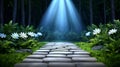 Mystical Forest Path Stone Walkway Lit by Bright Light Beam Royalty Free Stock Photo