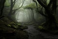 Mystical forest shrouded in mist, believed to be the home of mythical creatures and spirits. Generative AI Royalty Free Stock Photo