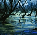 Dark mystical forest swamp Royalty Free Stock Photo