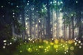 Forest Trees, Wood Glade - Mystic, Bokeh, Lens Flares, Camera Blur - Sunlight Royalty Free Stock Photo