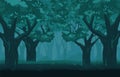 Mystical gloomy forest. Mysterious centuryold trees in darkness.