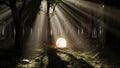 Mystical glowing orb on the forest floor with dramatic light rays shining through the trees Royalty Free Stock Photo