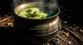 Mystical green potion bubbles and steams in an ancient cauldron outdoors Royalty Free Stock Photo