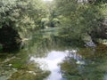 Mystical green river