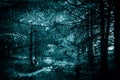 Mystical horror scary garret background to halloween. Old dense forest in darkness in a mysterious paranormal spooky blue green